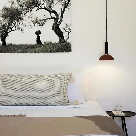 Arbora Olea Luxury Villa