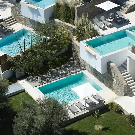 Arbora Olea Luxury Skaleta