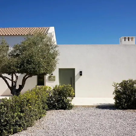 Villa Arbora Olea Luxury Skaleta